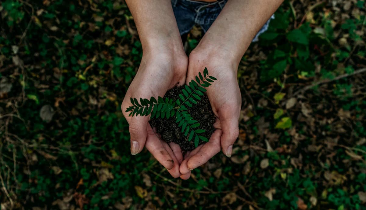 The Circular Economy Mandate: Retail's 2026 Sustainability Pivot
